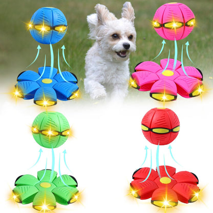 Fly Ball Pet Toy